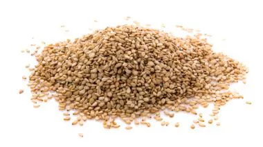 garnishing-instructions-image